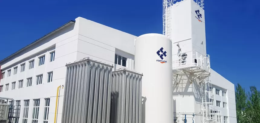 GAN1,000 Plant