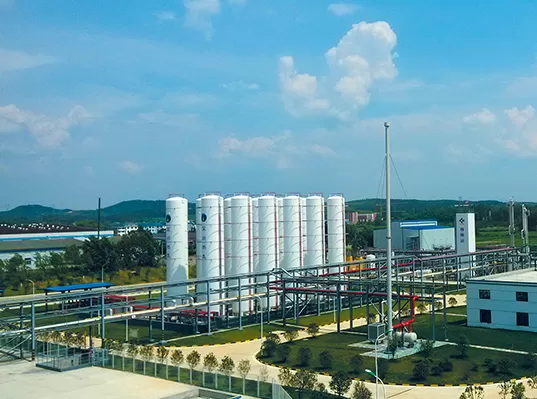 Vacuum Cryogenic Storage Tank
